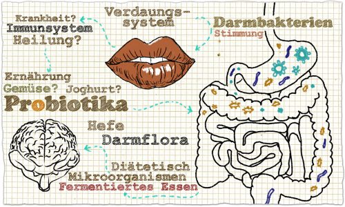 Kursvorschaubild