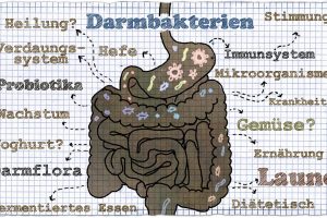 Illustration über Darmbakterien